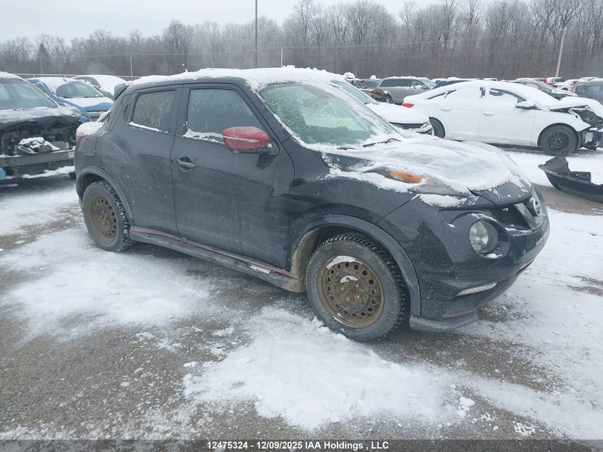 JN8AF5MVXFT555068 2015 Nissan Juke Sl/Sv auction photo 1