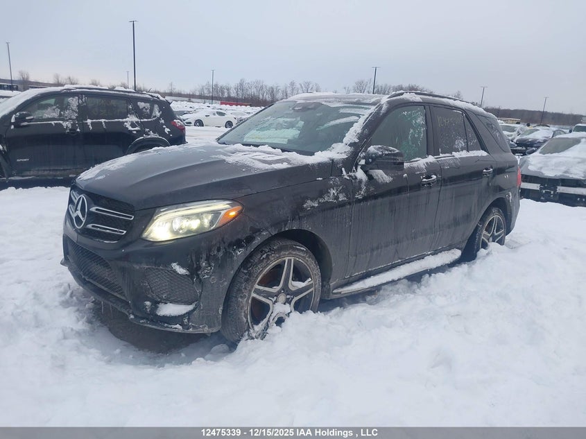 4JGDA2EB6GA704787 2016 MERCEDES-BENZ  photo no. 2