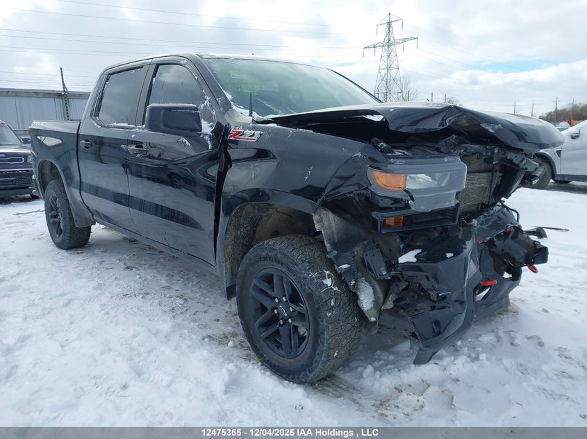 1GCPYCEF1LZ363106 CHEVROLET SILVERADO Photo 1