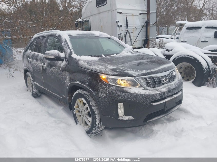5XYKTCA66EG532844 2014 Kia Sorento auction photo 1