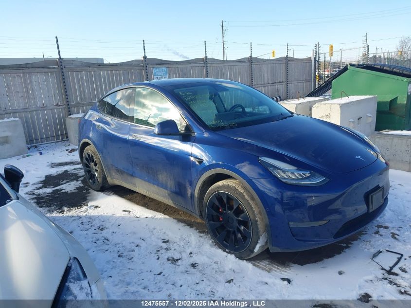 2021 Tesla Model Y