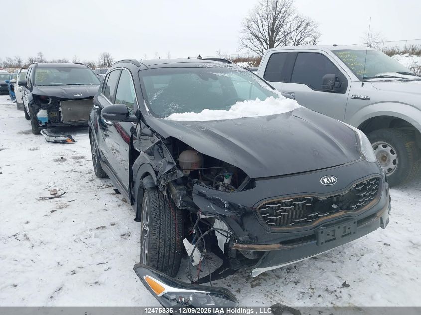 2021 Kia Sportage VIN: KNDPRCA6XM7895504 Lot: 12475835