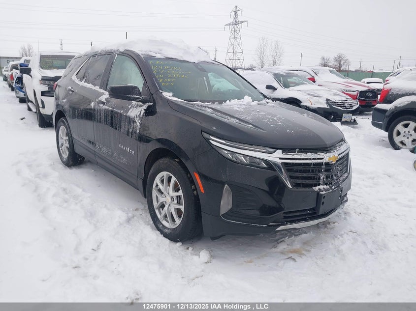 3GNAXUEG9RL273412 2024 Chevrolet Equinox Lt auction photo 1