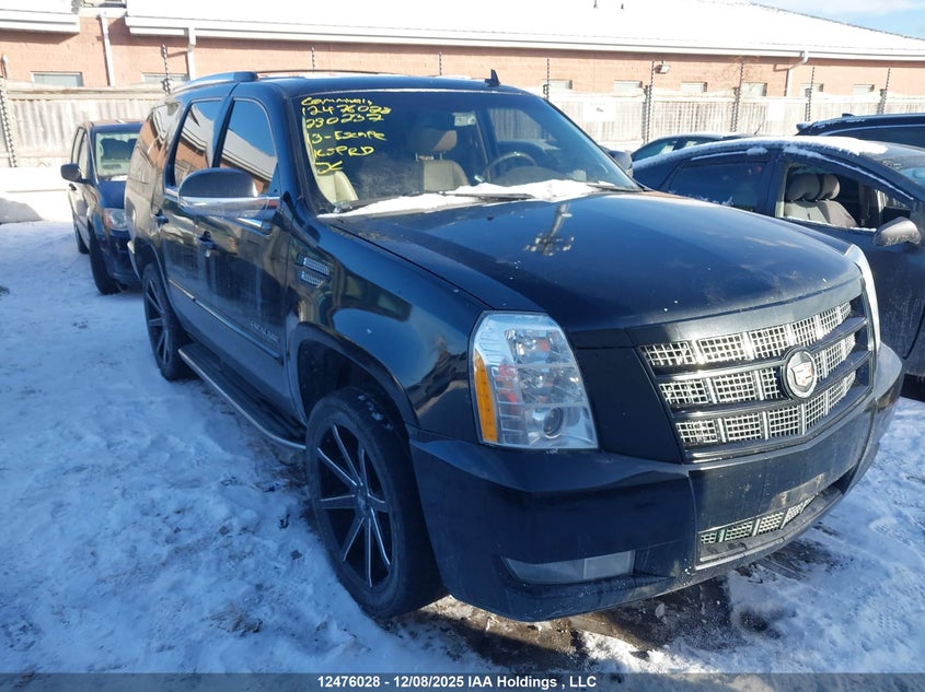 1GYS4BEF4DR230237 2013 Cadillac Escalade auction photo 1