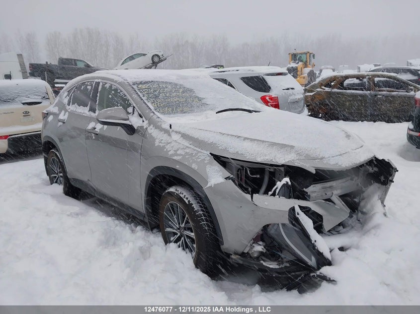 JTJADCEZ3N5000258 2022 Lexus Nx 250 auction photo 1