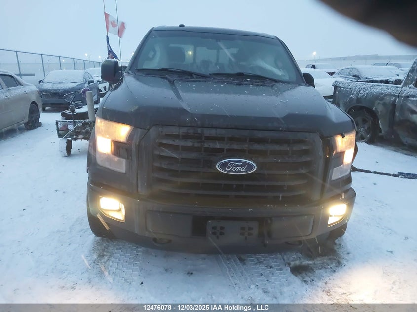 1FTEW1EGXGKF22679 2016 FORD F-150 photo no. 12