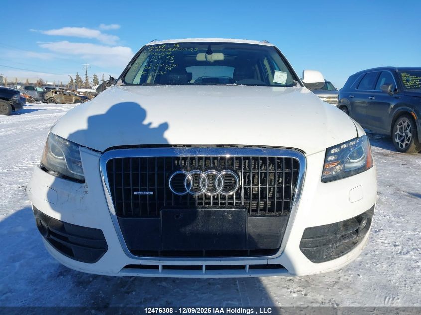 2009 Audi Q5 3.2/3.2 Premium VIN: WA1KK68R49A006037 Lot: 12476308