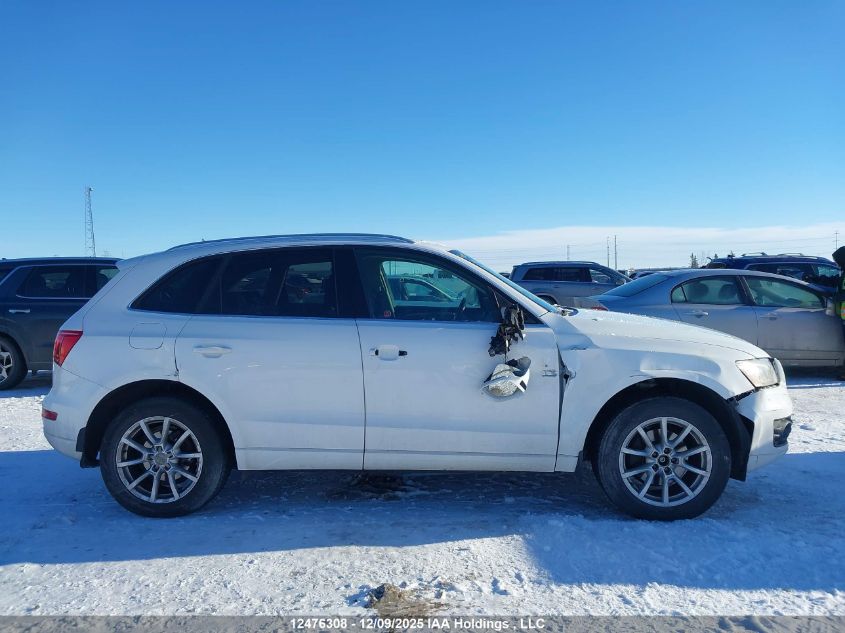 2009 Audi Q5 3.2/3.2 Premium VIN: WA1KK68R49A006037 Lot: 12476308
