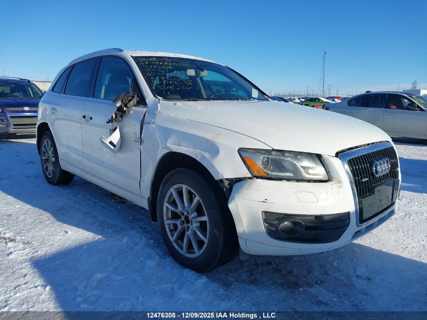 2009 Audi Q5 3.2/3.2 Premium VIN: WA1KK68R49A006037 Lot: 12476308