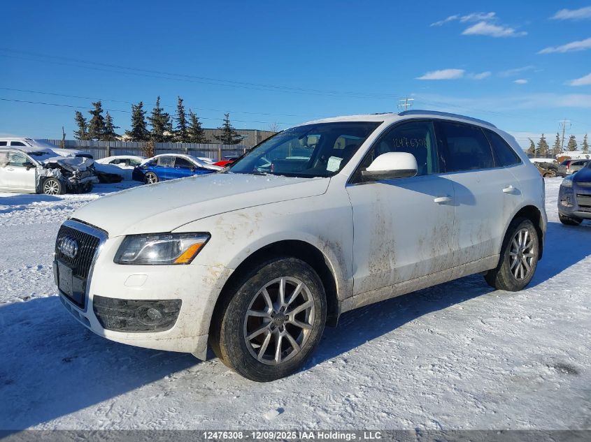 2009 Audi Q5 3.2/3.2 Premium VIN: WA1KK68R49A006037 Lot: 12476308