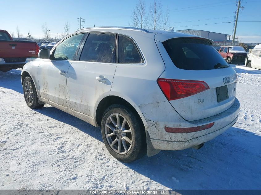 2009 Audi Q5 3.2/3.2 Premium VIN: WA1KK68R49A006037 Lot: 12476308