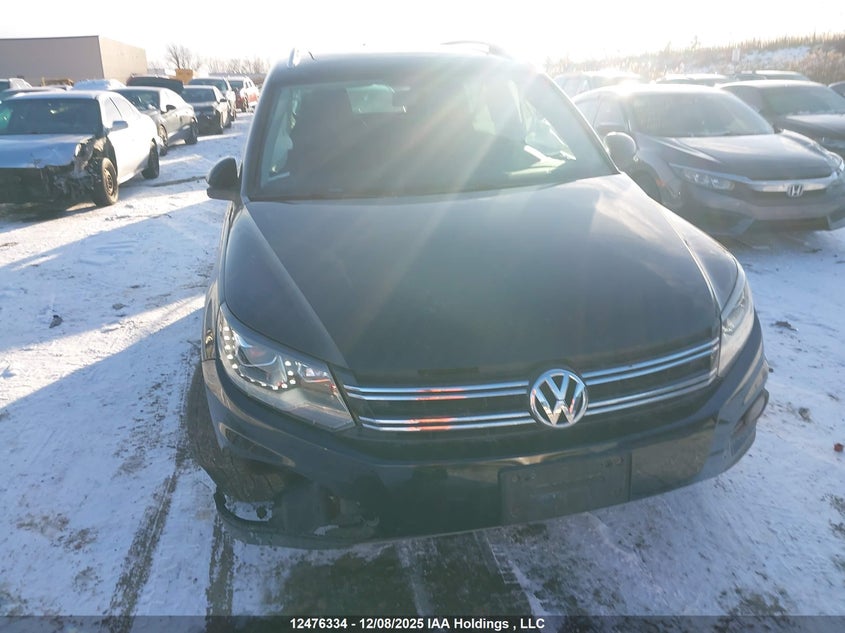 WVGJV3AX0DW576530 2013 VOLKSWAGEN TIGUAN photo no. 12