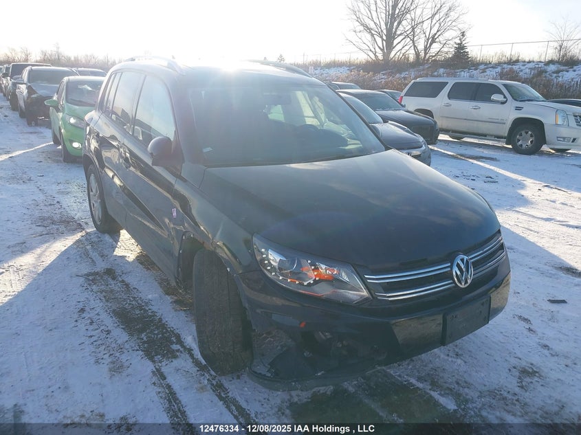 WVGJV3AX0DW576530 2013 VOLKSWAGEN TIGUAN photo no. 6