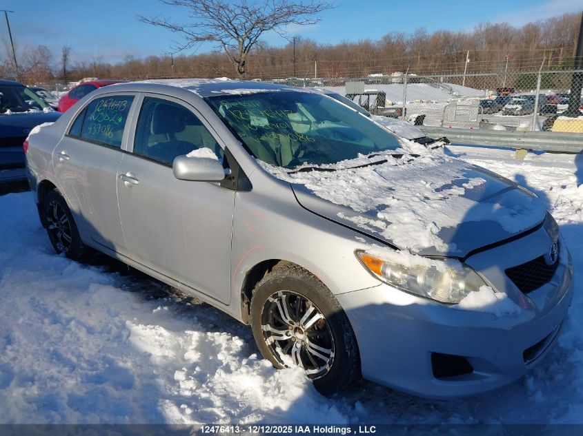 2010 Toyota Corolla VIN: 2T1BU4EE5AC437086 Lot: 12476413