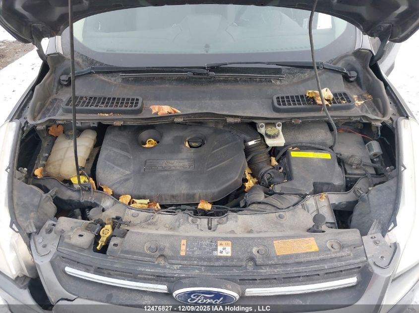 2014 Ford Escape VIN: 1FMCU9G94EUA80246 Lot: 12476827