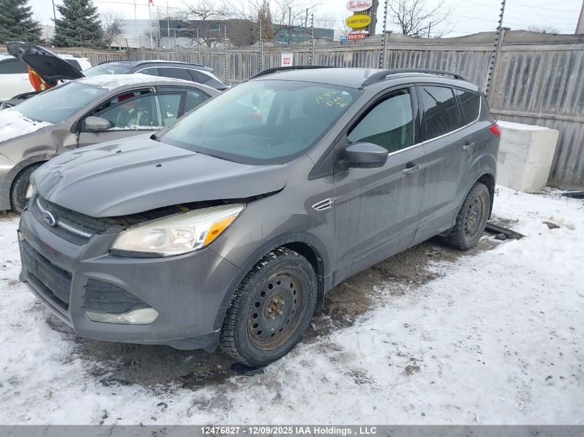 2014 Ford Escape VIN: 1FMCU9G94EUA80246 Lot: 12476827