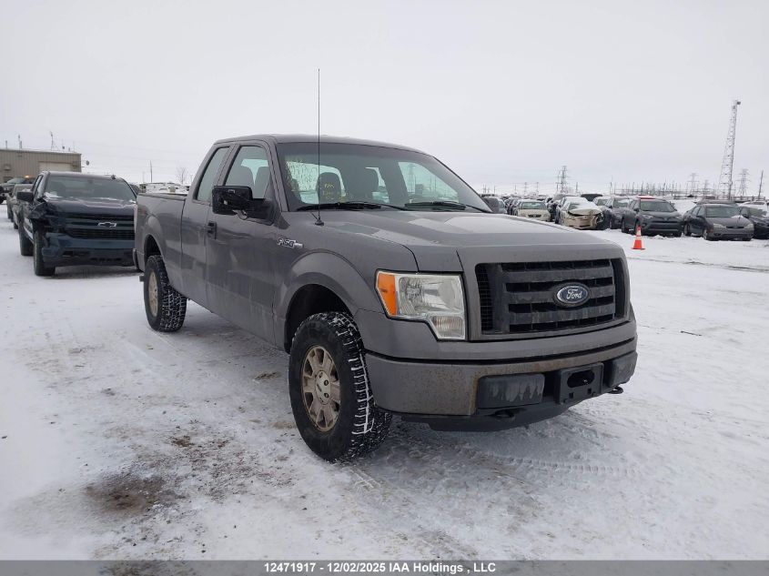 2011 Ford F-150 Stx VIN: 1FTEX1EM8BFB74028 Lot: 12471917X