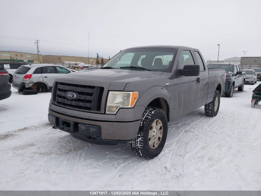 2011 Ford F-150 Stx VIN: 1FTEX1EM8BFB74028 Lot: 12471917X