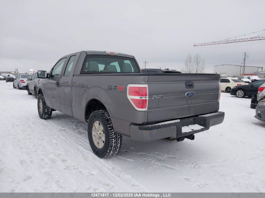 2011 Ford F-150 Stx VIN: 1FTEX1EM8BFB74028 Lot: 12471917X