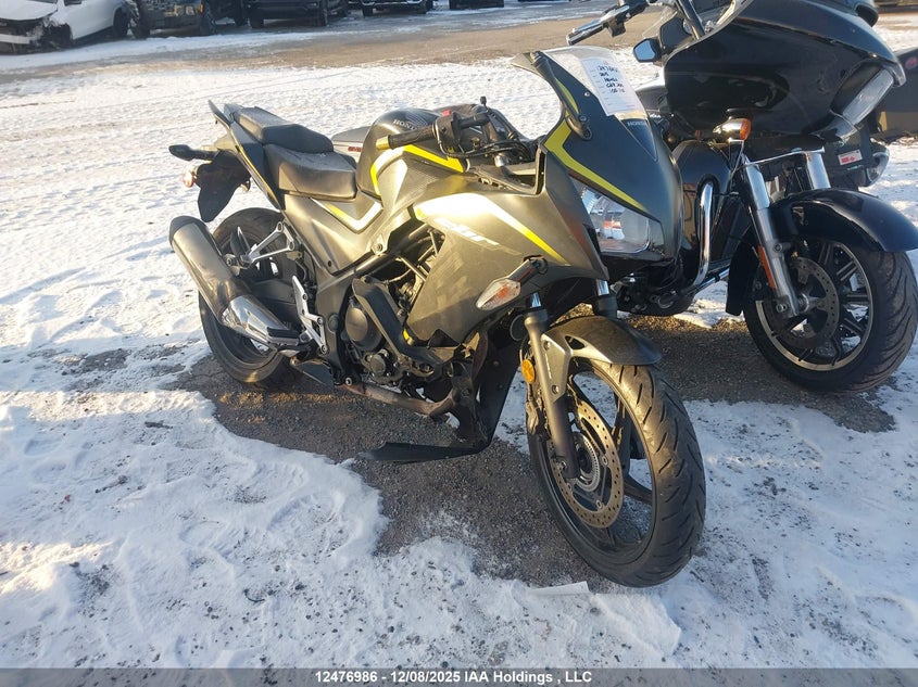 MLHNC5164F5100110 HONDA CBR300 Photo 1