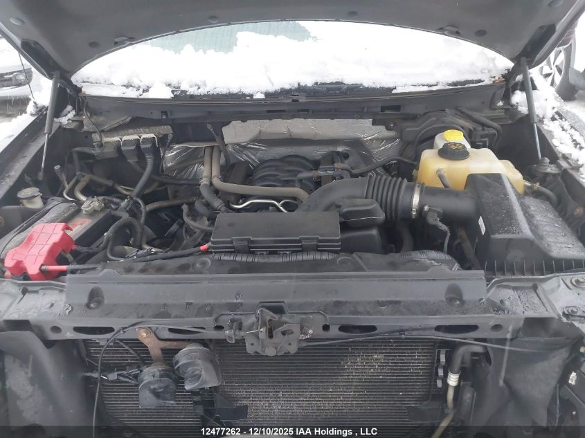 2014 Ford F-150 Xlt VIN: 1FTFX1EFXEFA00648 Lot: 12477262