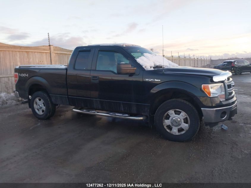 2014 Ford F-150 Xlt VIN: 1FTFX1EFXEFA00648 Lot: 12477262