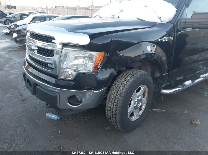 2014 Ford F-150 Xlt VIN: 1FTFX1EFXEFA00648 Lot: 12477262