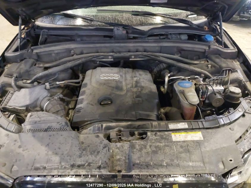 2011 Audi Q5 2.0T Premium Plus VIN: WA1VFCFP6BA083757 Lot: 12477290