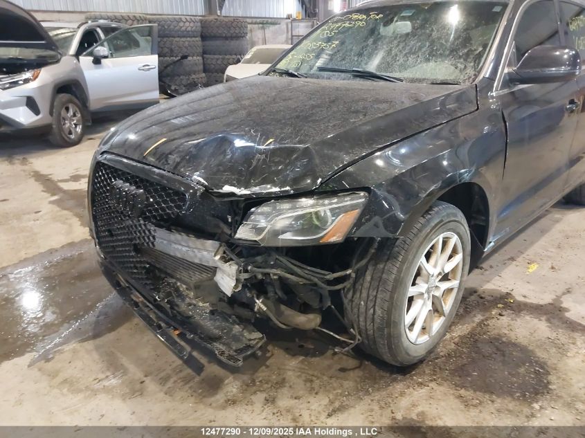 2011 Audi Q5 2.0T Premium Plus VIN: WA1VFCFP6BA083757 Lot: 12477290