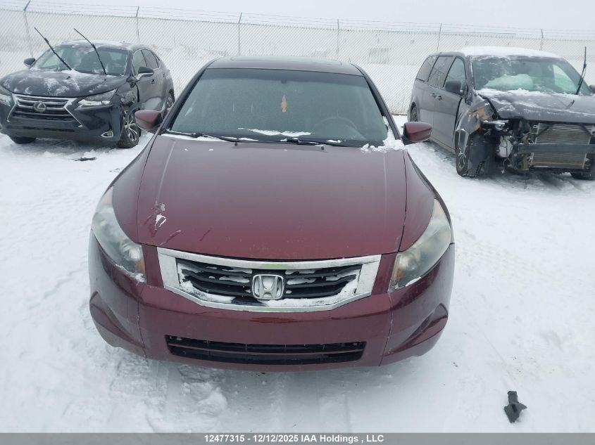 2008 Honda Accord Ex-L V6 VIN: 1HGCP36858A804213 Lot: 12477315