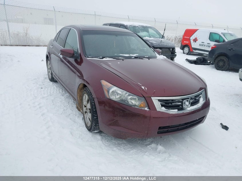 1HGCP36858A804213 2008 HONDA ACCORD photo no. 6