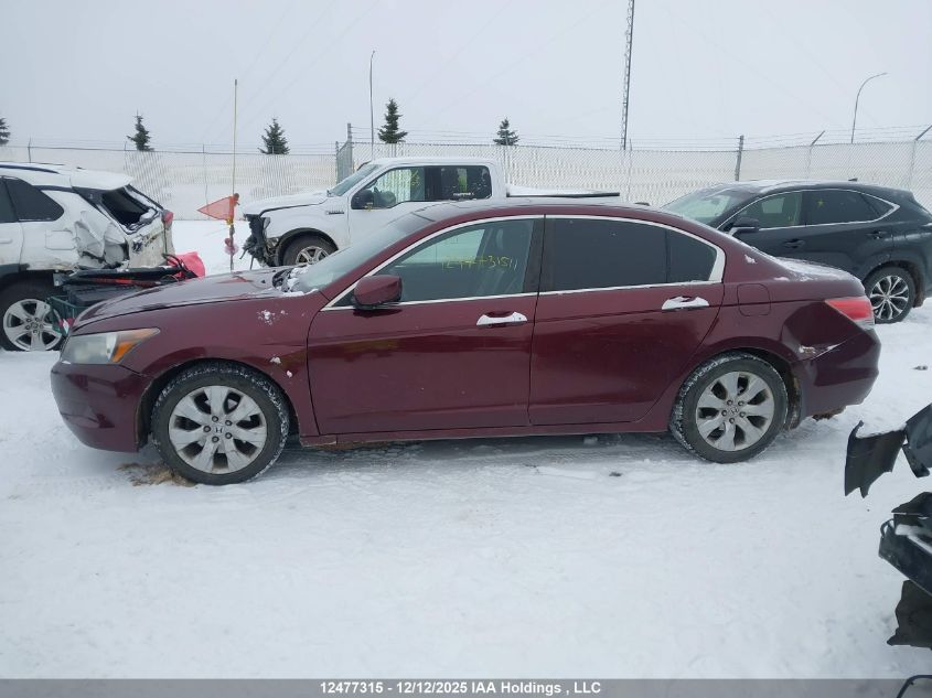2008 Honda Accord Ex-L V6 VIN: 1HGCP36858A804213 Lot: 12477315