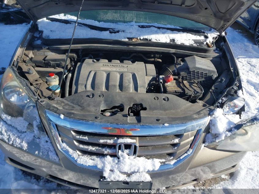 2008 Honda Odyssey VIN: 5FNRL384X8B505242 Lot: 12477321