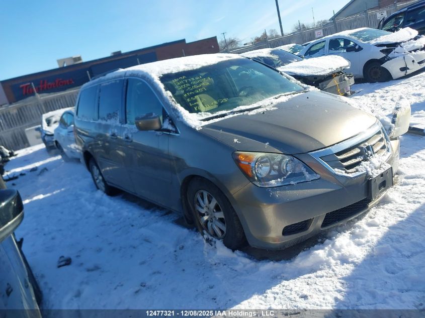 2008 Honda Odyssey VIN: 5FNRL384X8B505242 Lot: 12477321