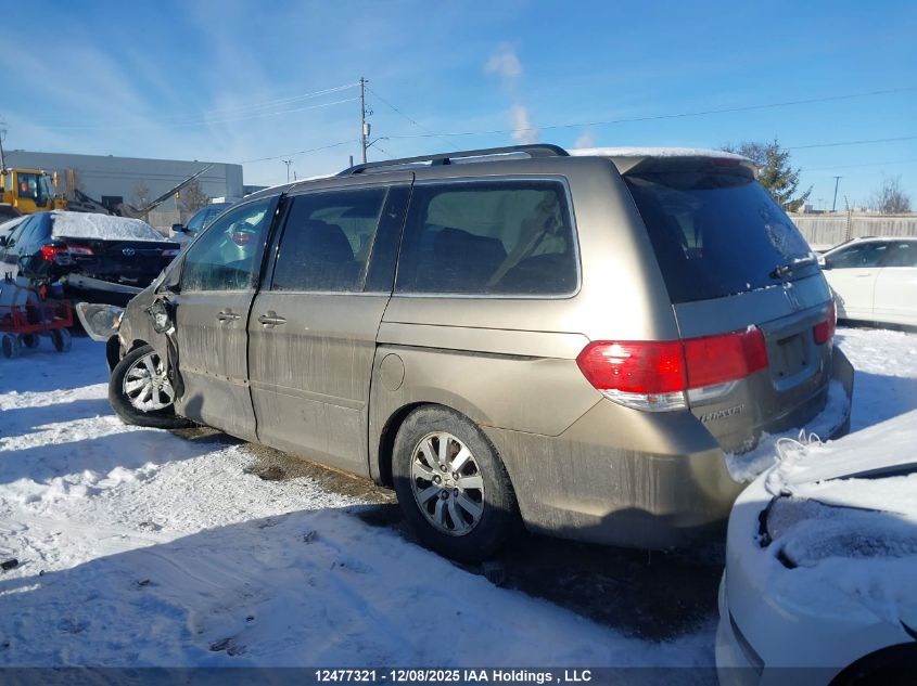 2008 Honda Odyssey VIN: 5FNRL384X8B505242 Lot: 12477321