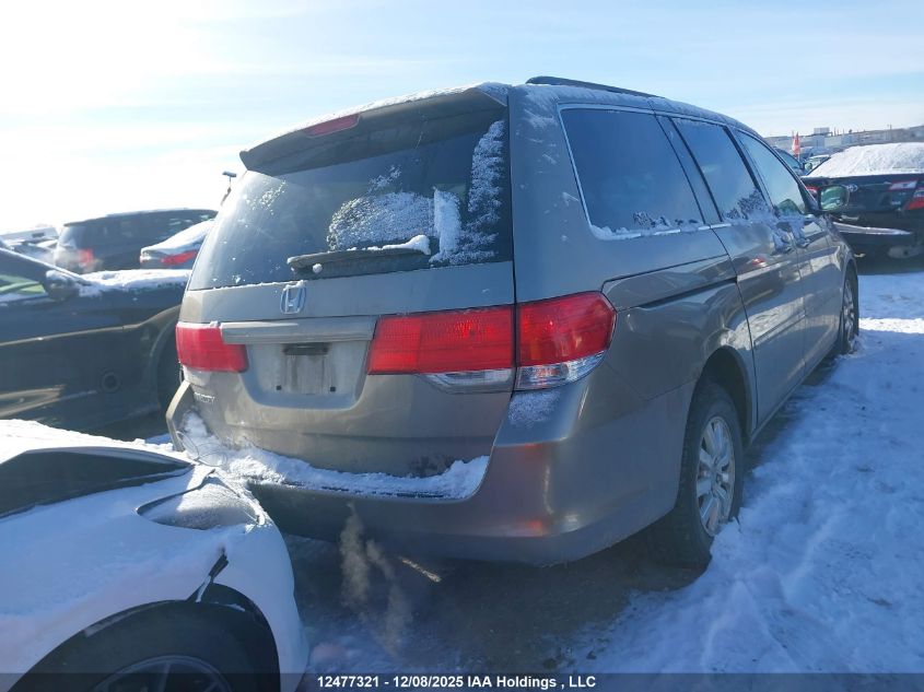 2008 Honda Odyssey VIN: 5FNRL384X8B505242 Lot: 12477321