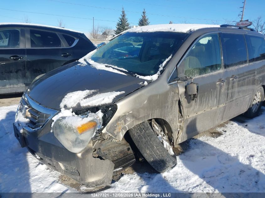 2008 Honda Odyssey VIN: 5FNRL384X8B505242 Lot: 12477321