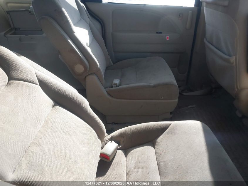 2008 Honda Odyssey VIN: 5FNRL384X8B505242 Lot: 12477321