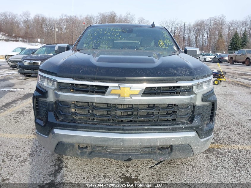 2GCUDDEDXP1131105 2023 CHEVROLET SILVERADO photo no. 12