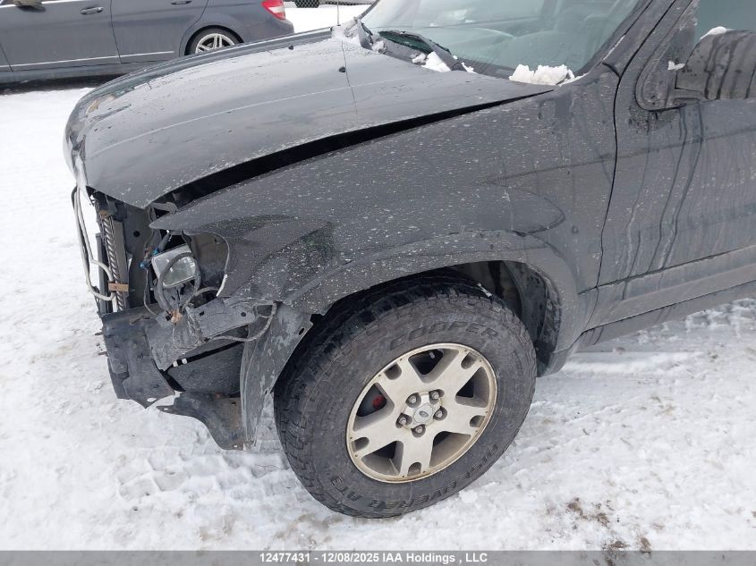 2003 Ford Escape Limited VIN: 1FMCU94123KC95213 Lot: 12477431