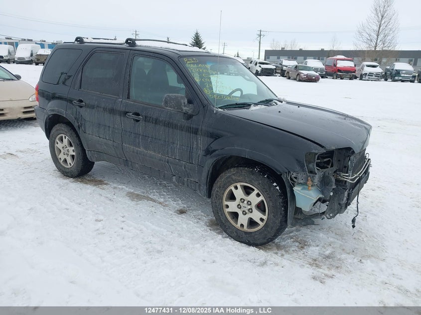 1FMCU94123KC95213 2003 FORD ESCAPE photo no. 5