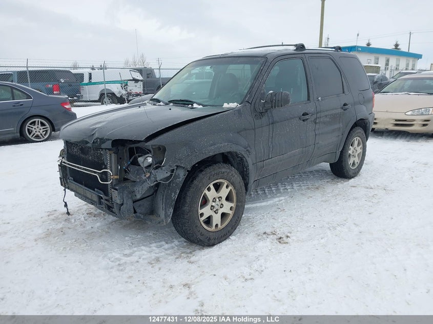 1FMCU94123KC95213 2003 FORD ESCAPE photo no. 2