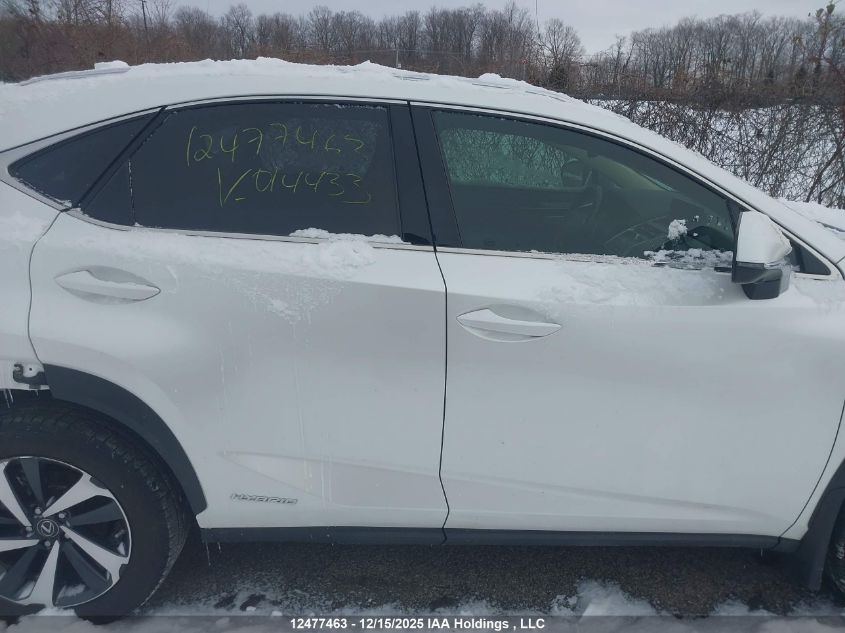 2021 Lexus Nx 300H VIN: JTJHJRDZ7M5014433 Lot: 12477463