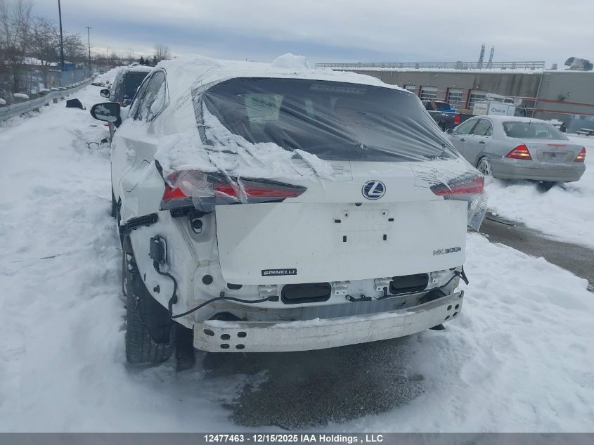 2021 Lexus Nx 300H VIN: JTJHJRDZ7M5014433 Lot: 12477463