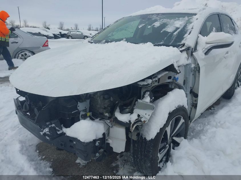 2021 Lexus Nx 300H VIN: JTJHJRDZ7M5014433 Lot: 12477463