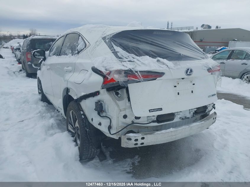 2021 Lexus Nx 300H VIN: JTJHJRDZ7M5014433 Lot: 12477463