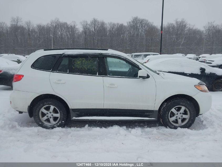 2009 Hyundai Santa Fe VIN: 5NMSG13E59H318856 Lot: 12477465