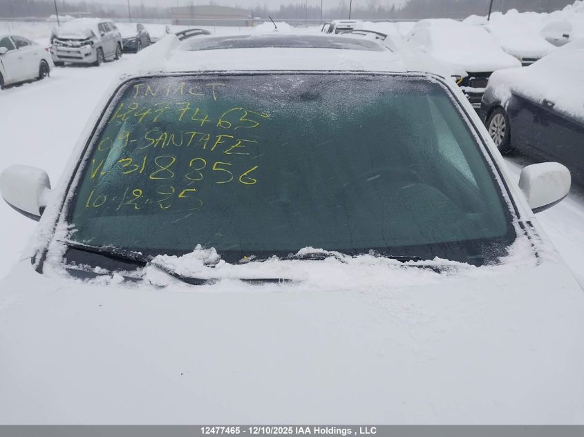 2009 Hyundai Santa Fe VIN: 5NMSG13E59H318856 Lot: 12477465