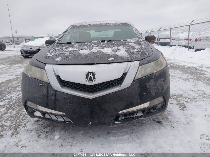 2010 Acura Tl VIN: 19UUA8F56AA800914 Lot: 12477495