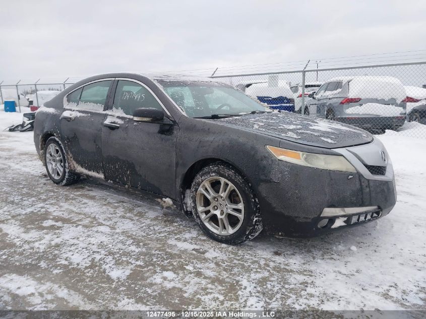 2010 Acura Tl VIN: 19UUA8F56AA800914 Lot: 12477495